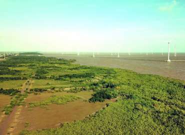 Trồng 1 tỉ cây xanh, được không?