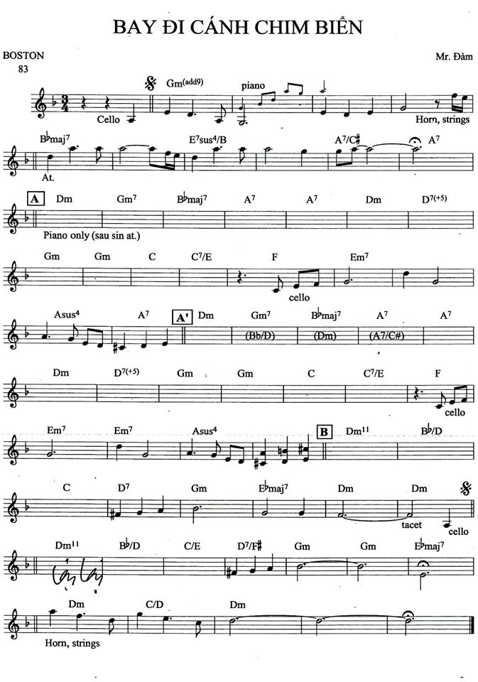 Bay Đi Cánh Chim Biển Bay Đi Cánh Chim Biển