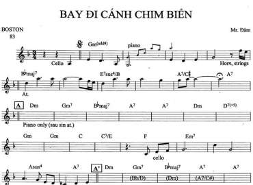 Bay Đi Cánh Chim Biển sheet nhạc đệm
