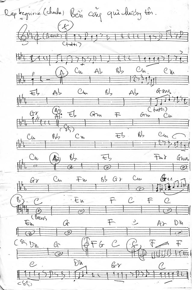 Bến Cảng Quê Hương Tôi