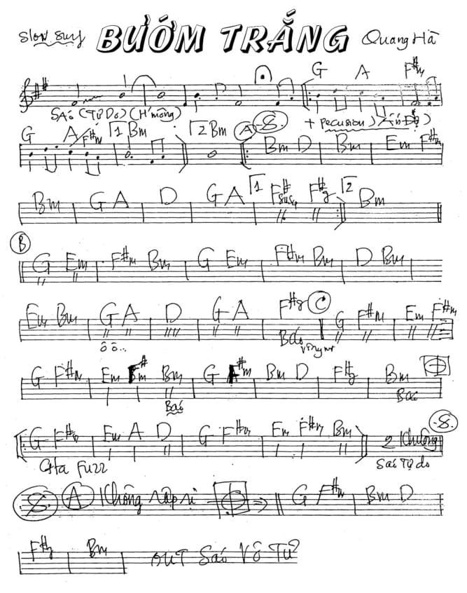 Bướm Trắng Bướm Trắng