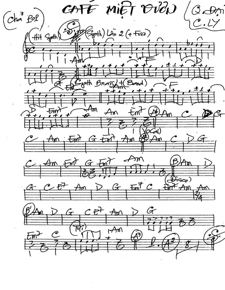 Cà Phê Miệt Vườn