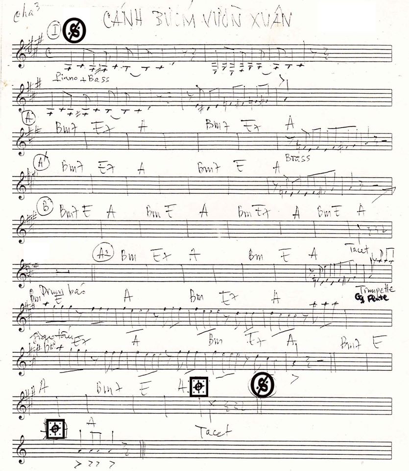 Cánh Bướm Vườn Xuân