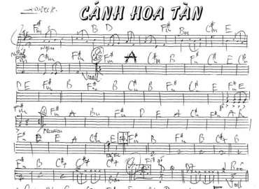 Cánh Hoa Tàn sheet nhạc đệm