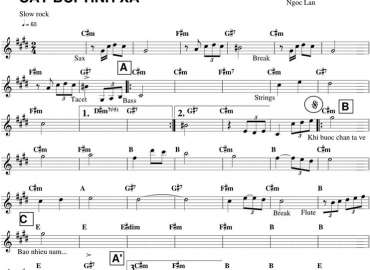 Cát Bụi Tình Xa sheet nhạc đệm