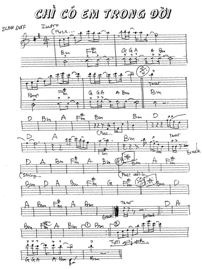 Chỉ Có Em Trong Đời