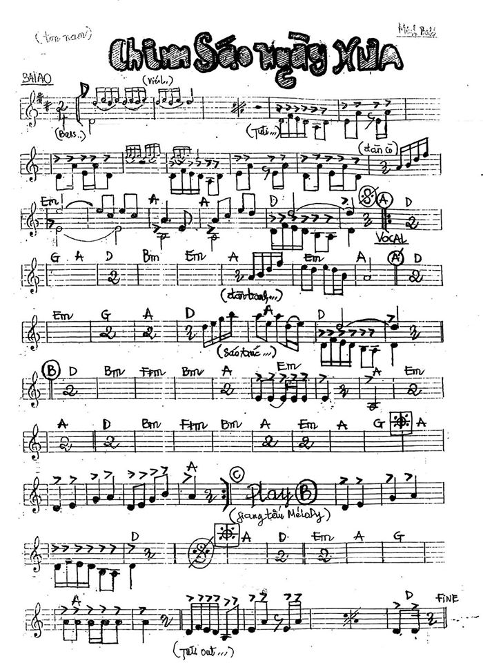 Chim Sáo Ngày Xưa