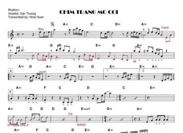Chim Trắng Mồ Côi sheet nhạc đệm