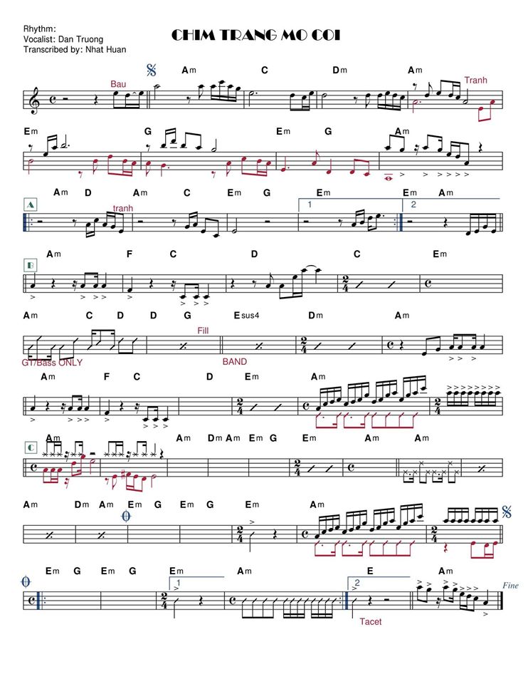 Chim Trắng Mồ Côi