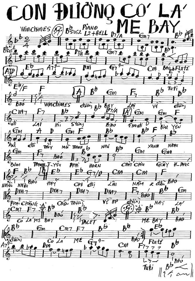 Con Đường Có Lá Me Bay