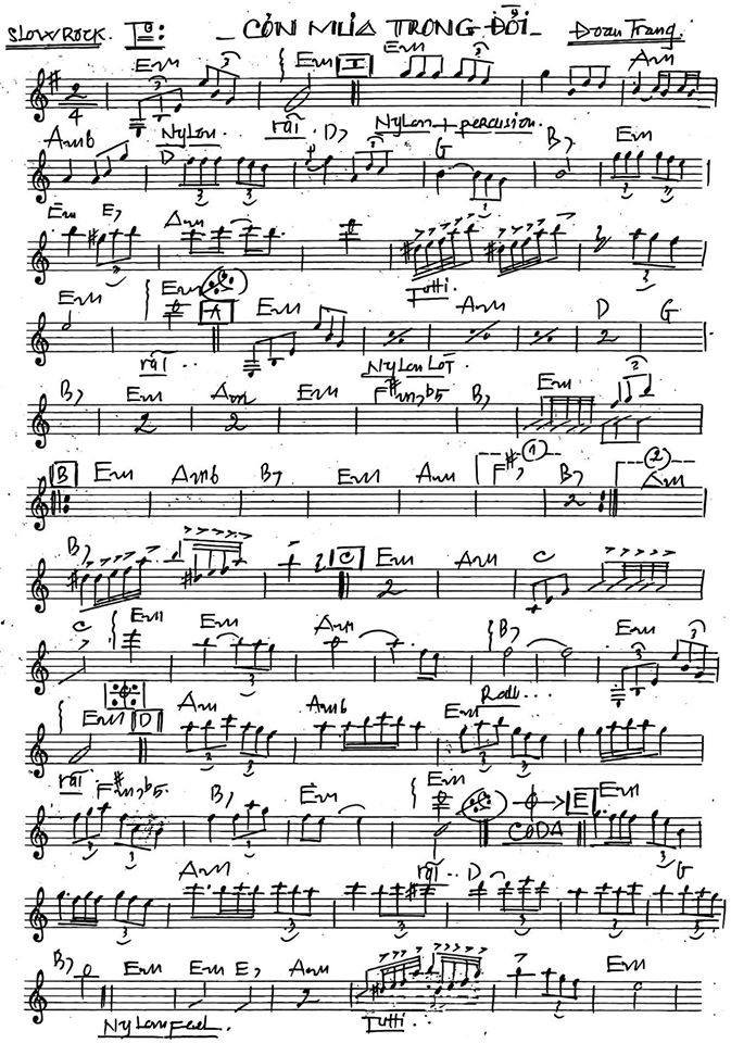 Cơn Mưa Trong Đời