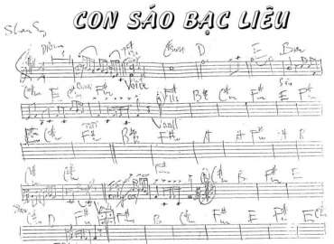 Con Sáo Bạc Liêu sheet nhạc đệm