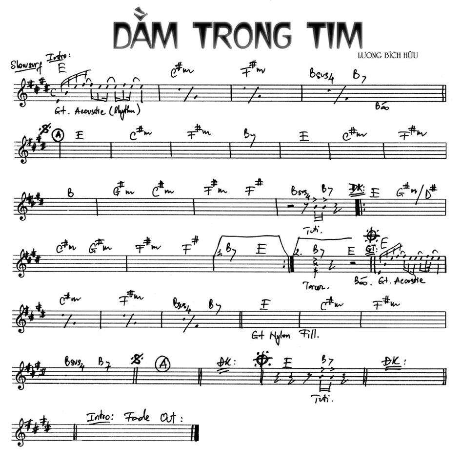 Dằm Trong Tim