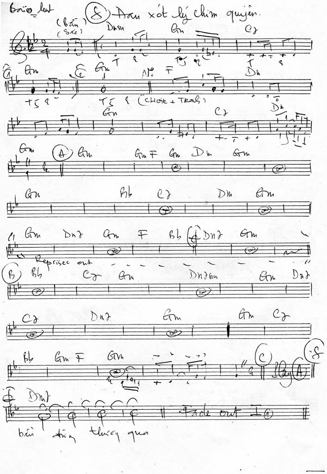 Đau Xót Lý Chim Quyên