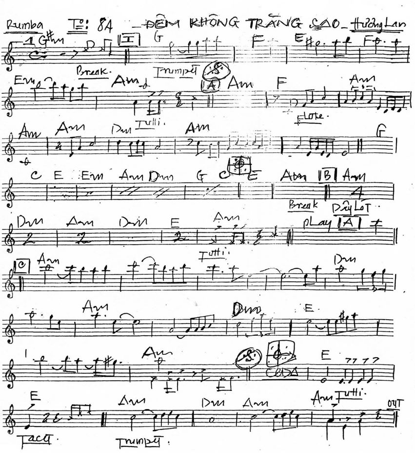 Đêm Không Trăng Sao