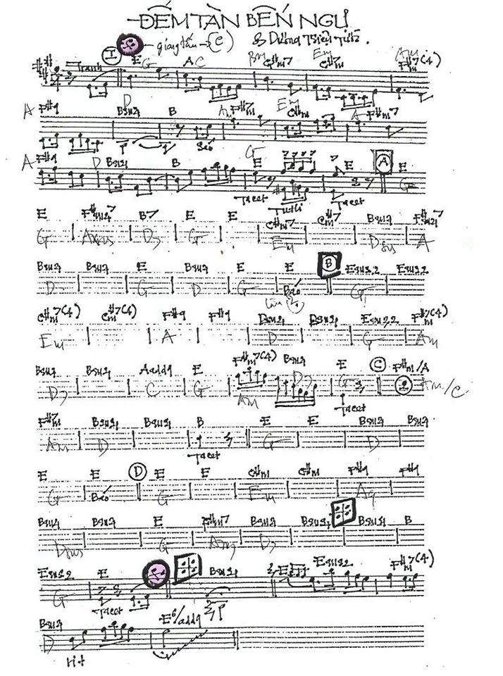 Đêm Tàn Bến Ngự