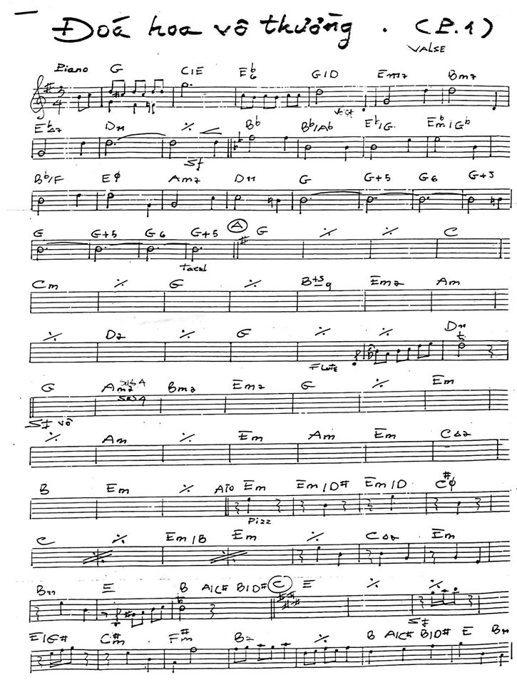 Đóa Hoa Vô Thường