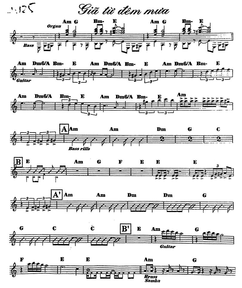 Giã Từ Đêm Mưa