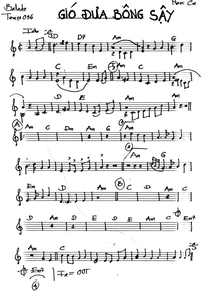 Gió Đưa Bông Sậy