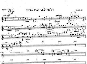Hoa Cài Mái Tóc sheet nhạc đệm