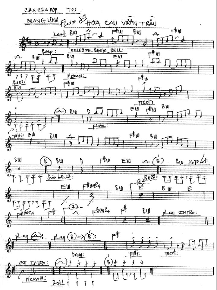 Hoa Cau Vườn Trầu