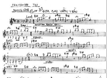 Hoa Cau Vườn Trầu sheet nhạc đệm