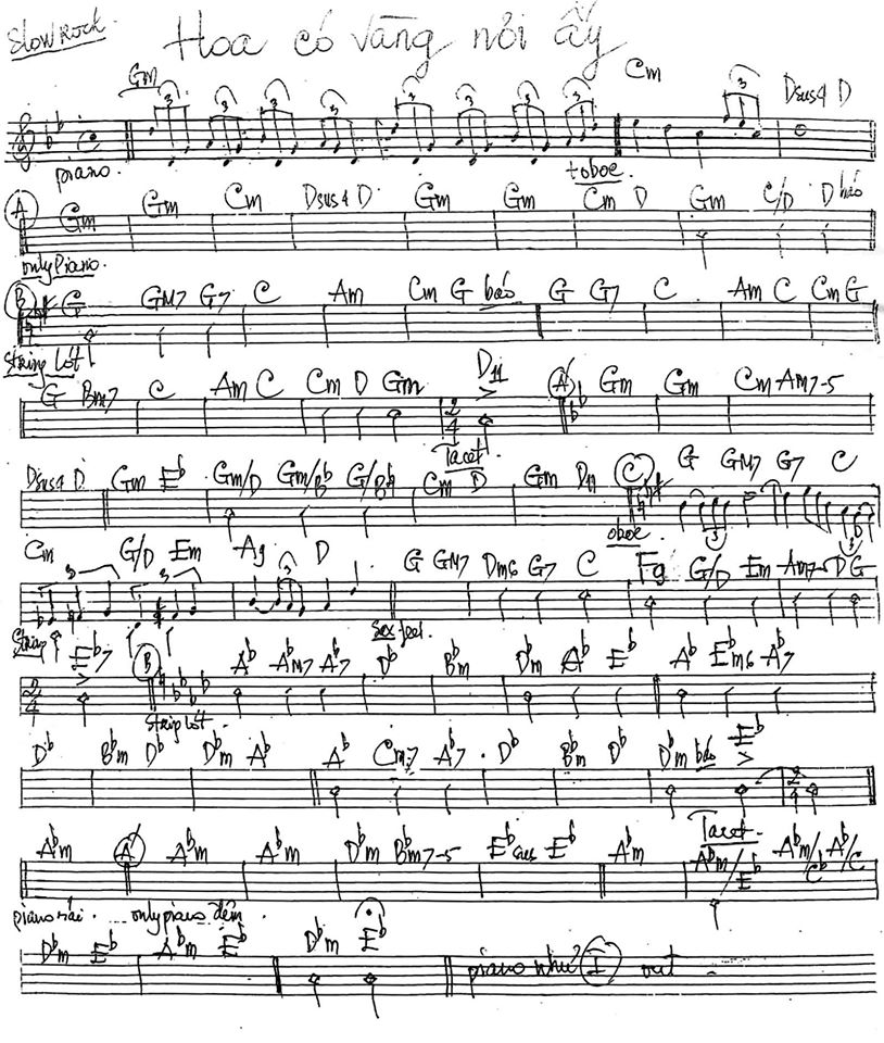 Hoa Có Vàng Nơi Ấy