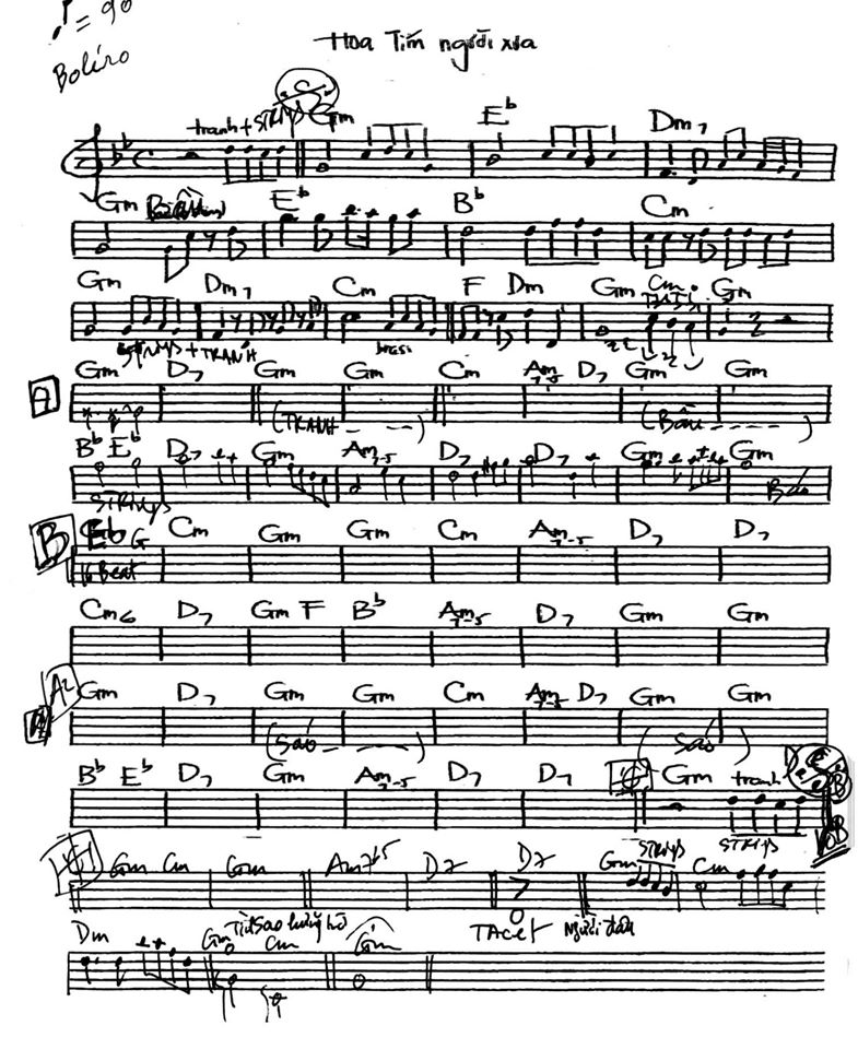 Hoa Tím Người Xưa