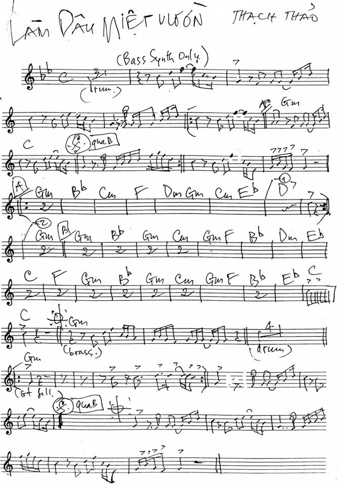 Làm Dâu Miệt Vườn