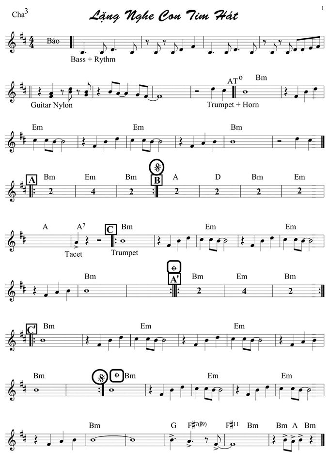 Lặng Nghe Con Tim Hát