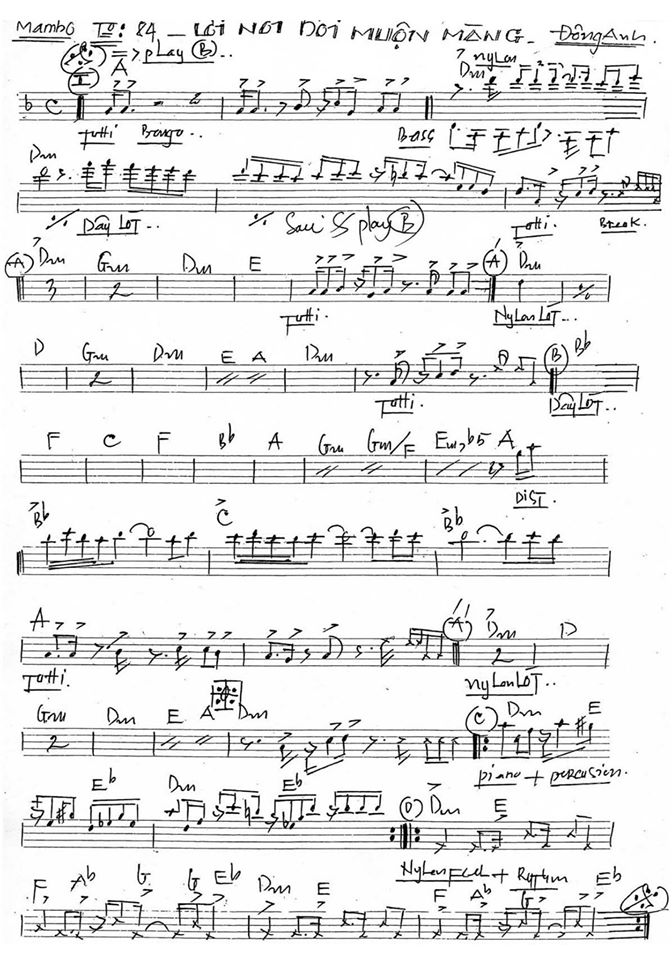 Lời Nói Đôi Muộn Màng