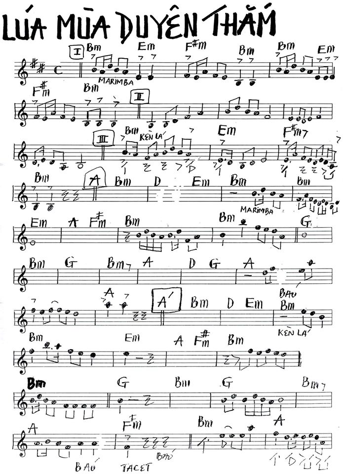 Lúa Mùa Duyên Thắm