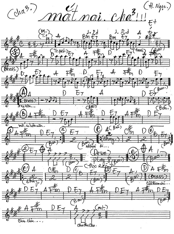 Mắt Nai Cha Cha Cha