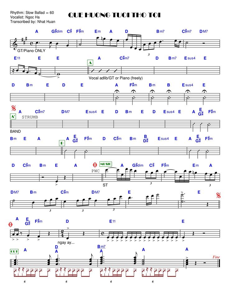 Quê Hương Tuổi Thơ Tôi Quê Hương Tuổi Thơ Tôi