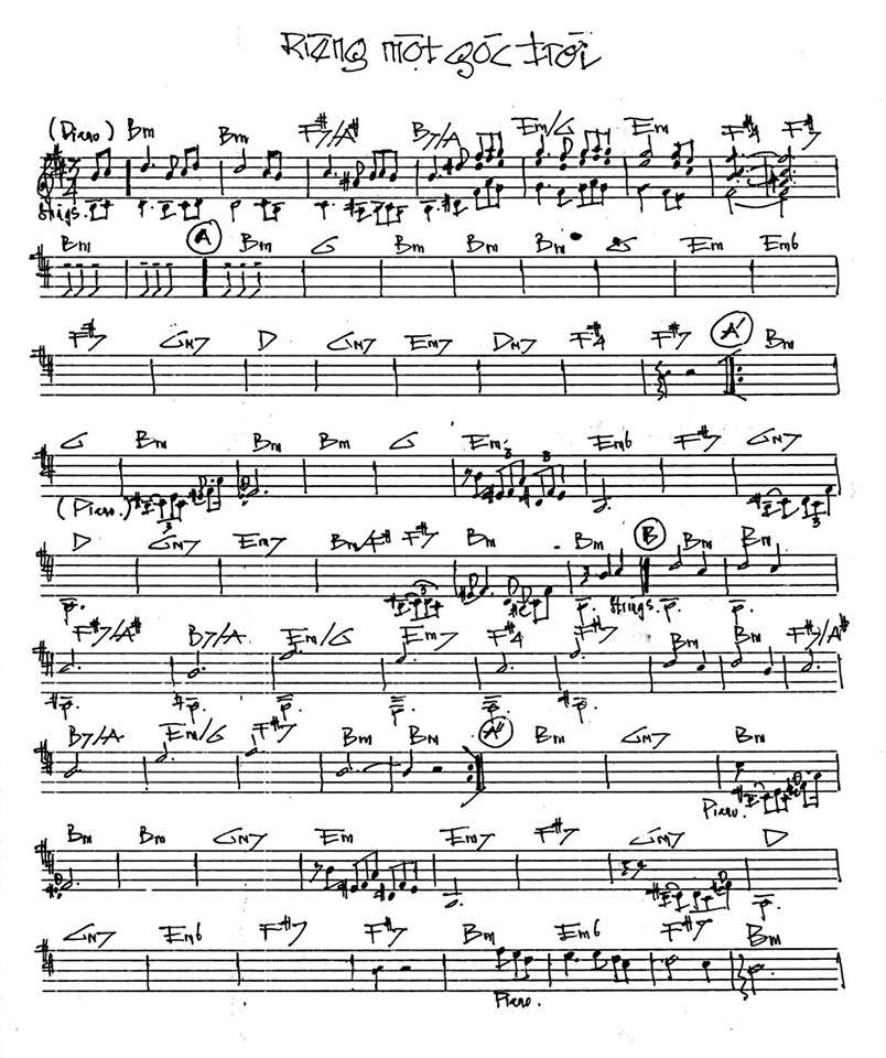 Riêng Một Gốc Trời