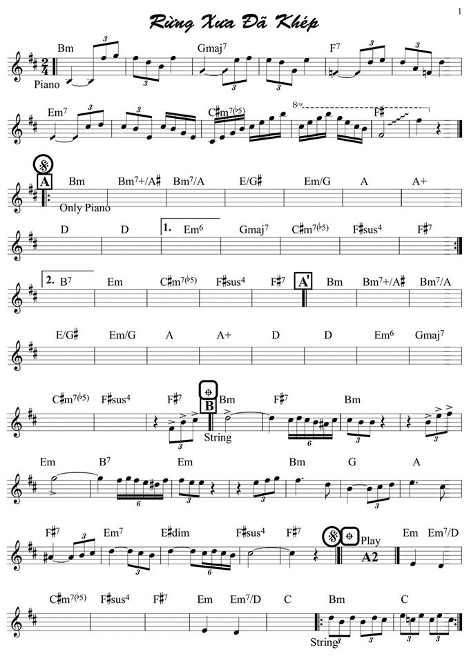 Rừng Xưa Đã Khép