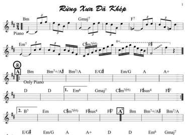 Rừng Xưa Đã Khép sheet nhạc đệm