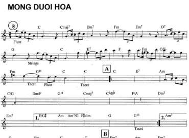 Mộng Dưới Hoa sheet nhạc đệm