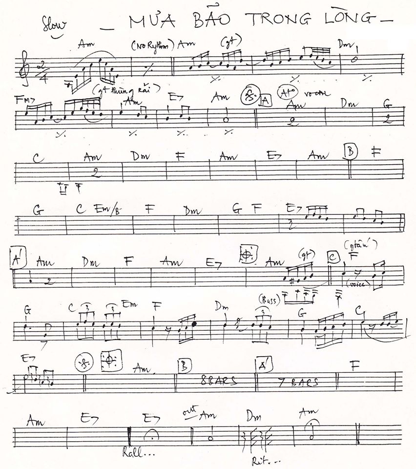 Mưa Bão Trong Lòng