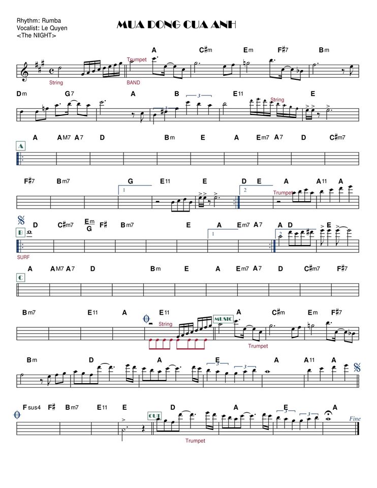 Mùa Đông Của Anh