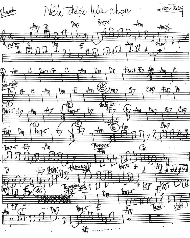 Nếu Được Lựa Chọn