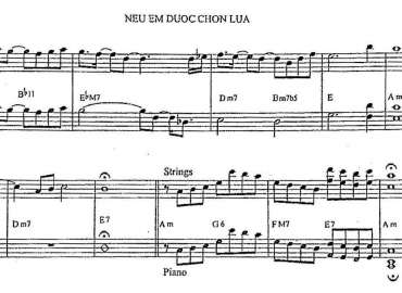 Nếu Em Được Chọn Lựa 2 sheet nhạc đệm