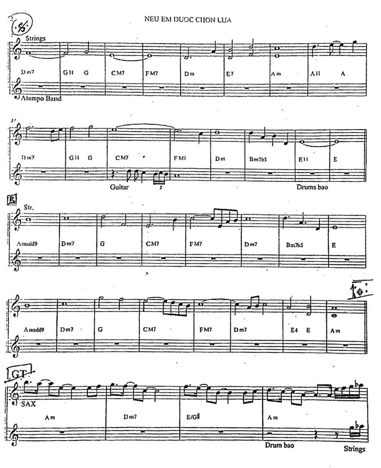 Nếu Em Được Lựa Chọn