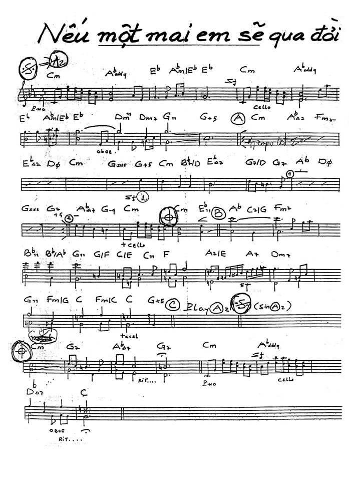 Nếu Một Mai Em Sẽ Qua Đời