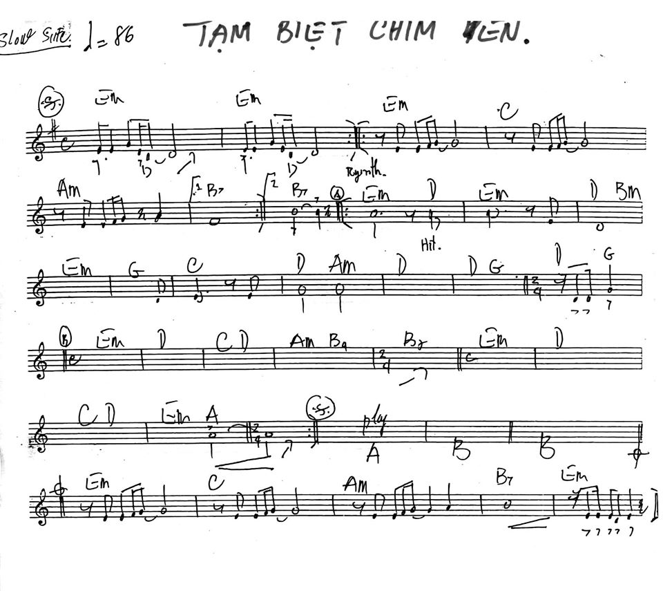 Tạm Biệt Chim Én