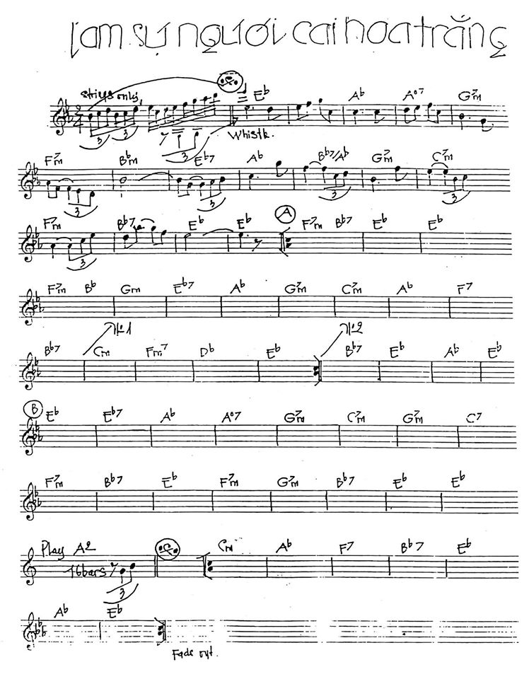 Tâm Sự Ngài Cài Hoa Trắng