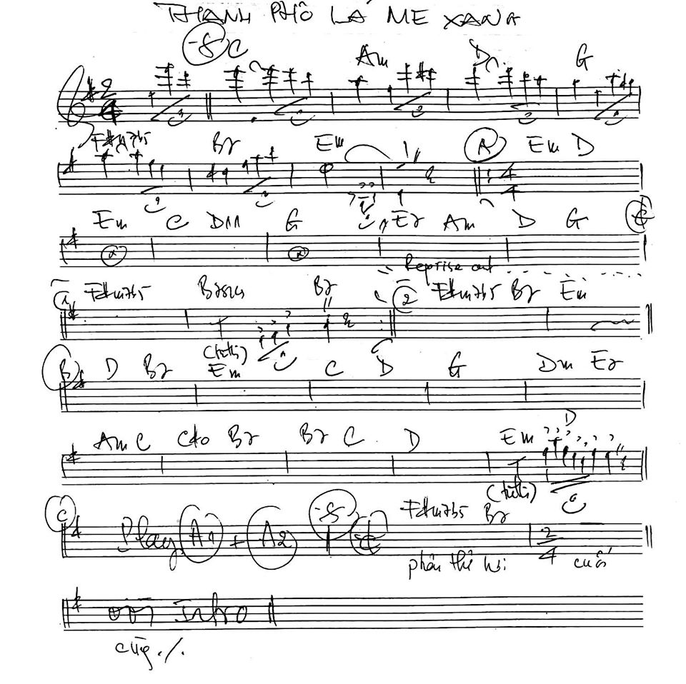 Thành Phố Lá Me Xanh