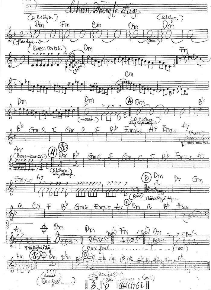 Thiên Đường Là Đây