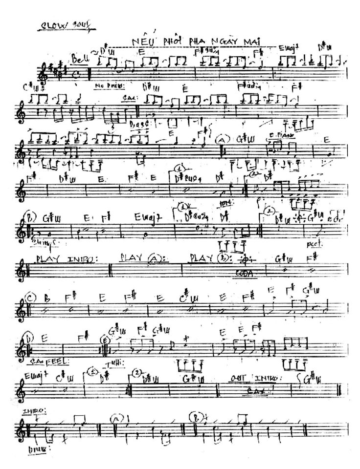 Nếu Phôi Pha Ngày Mai