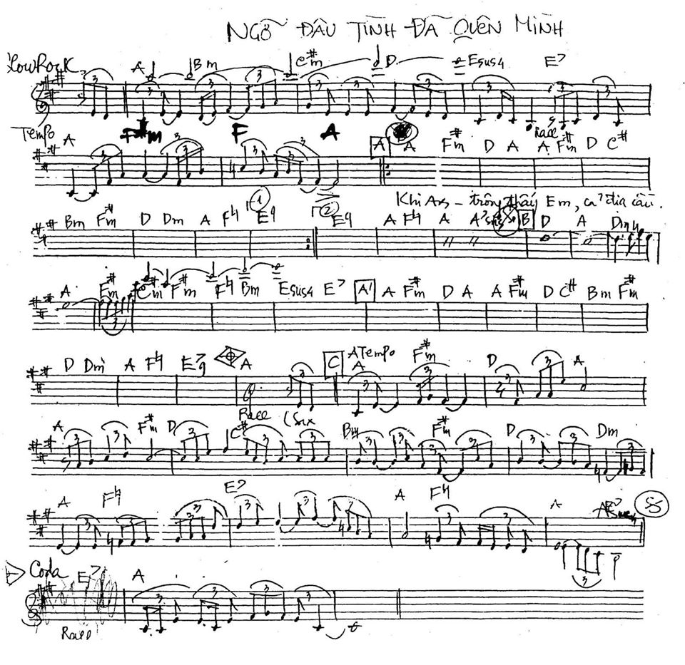 Ngỡ Đâu Tình Đã Quên Mình